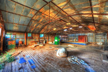 Bucklow Station - Woolshed - NSW SQ (PB5D 00 2658)
